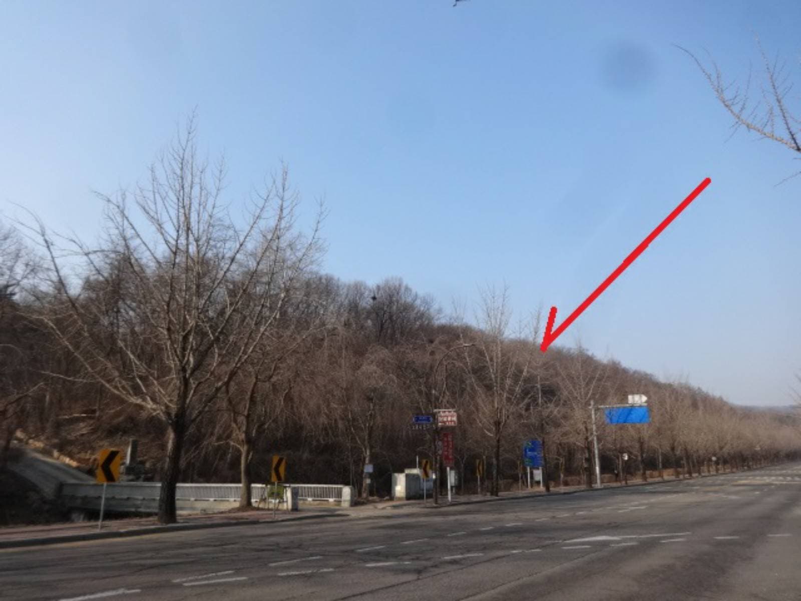 경기도 과천시 갈현동 산126-2