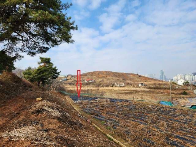 충청남도 아산시 배방읍 휴대리 79-1 전