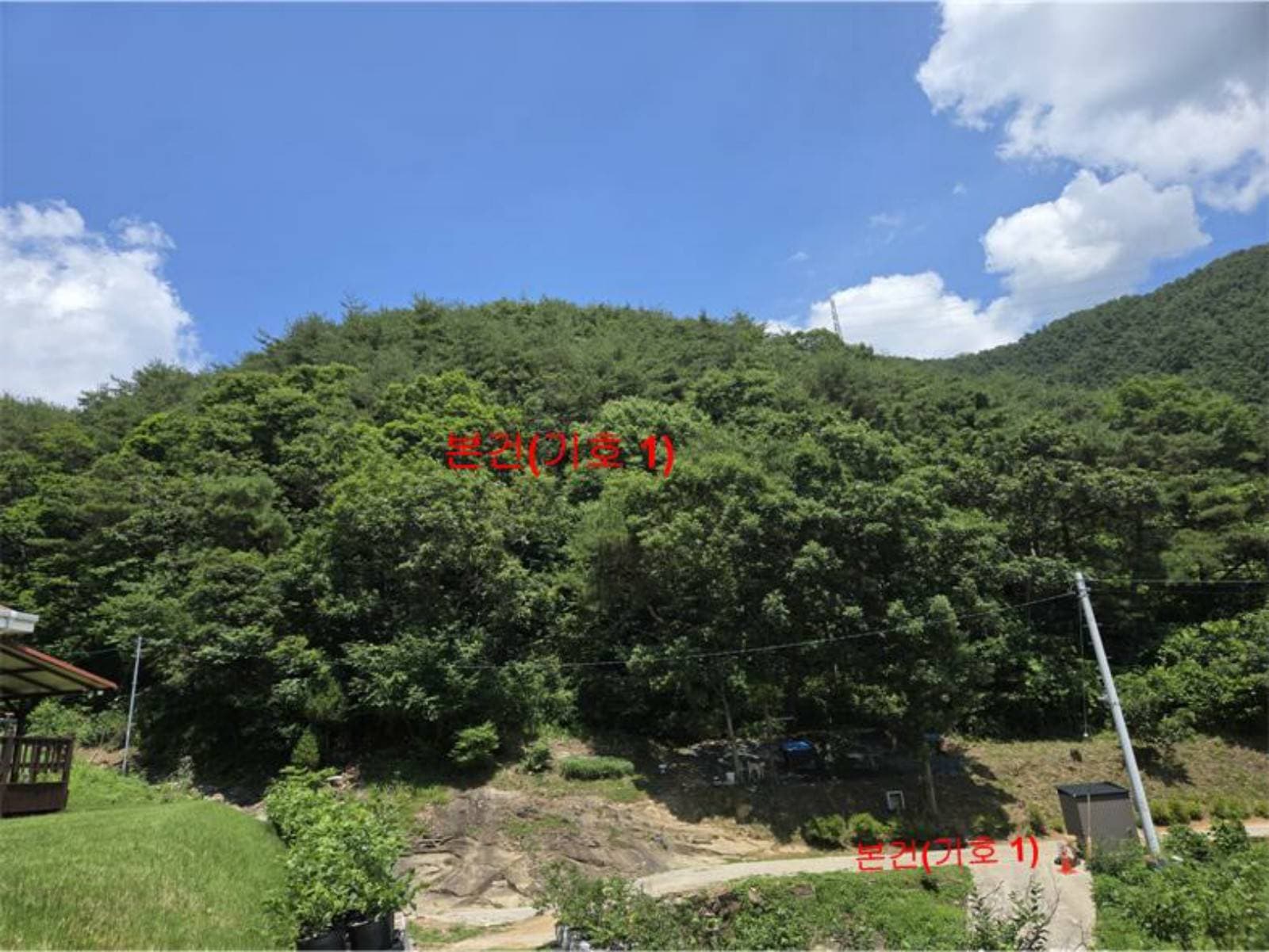 경상남도 합천군 쌍백면 대현리 산25