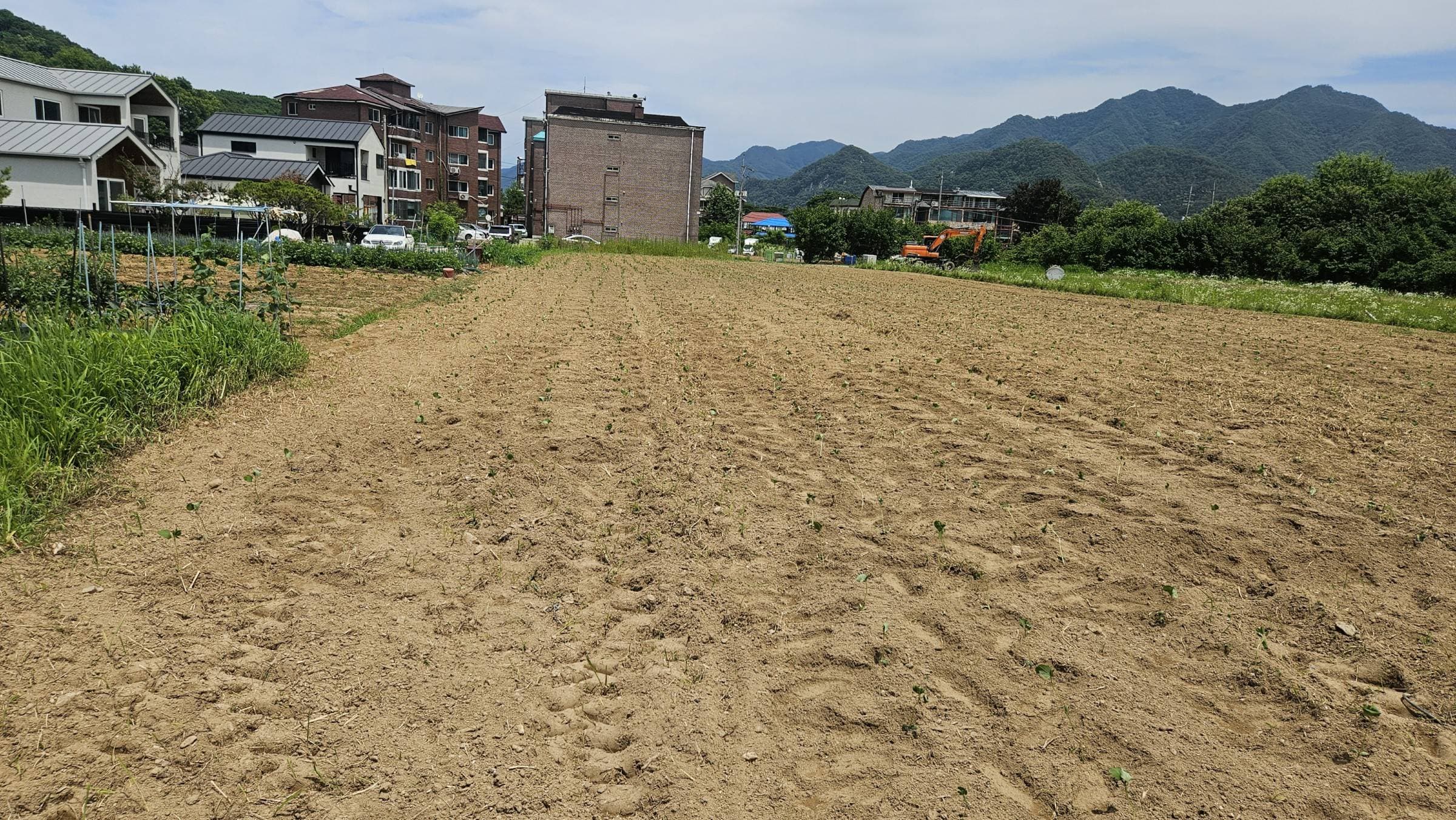 경기도 남양주시 화도읍 금남리 323