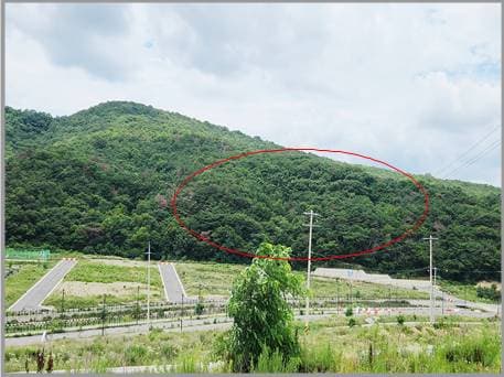 경상북도 경주시 천군동 산225-1