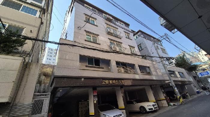 서울특별시 은평구 신사동 200-166  지1층102호