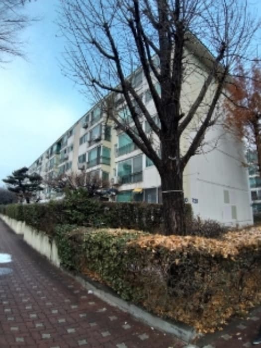 서울특별시 양천구 목동로 212, 제720동 제5층 제506호 (목동, 목동신시가지아파트)