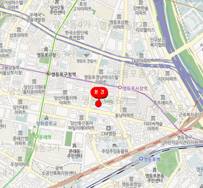 서울특별시 영등포구 영등포동6가 100 리저브오피스텔  제3층 제301호