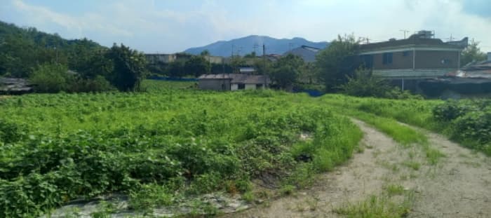 경기도 연천군 청산면 대전리 507-2 외 1 필지