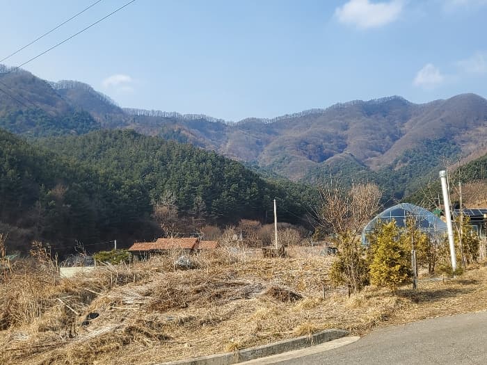 경기도 포천시 관인면 사정리 산451 외 20 필지