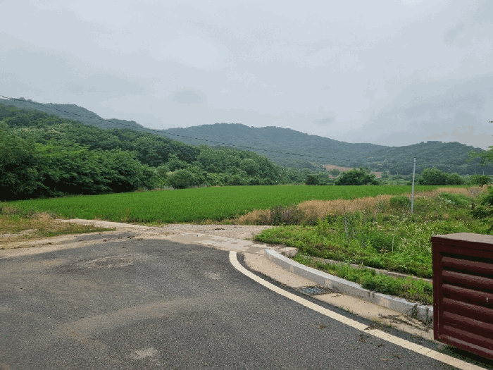 강원특별자치도 철원군 동송읍 이길리 1395
