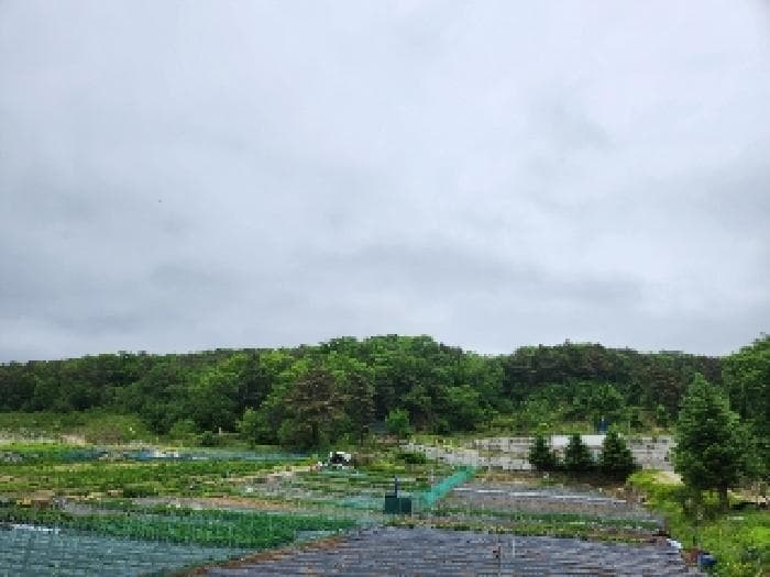 경기도 양주시 산북동 산11