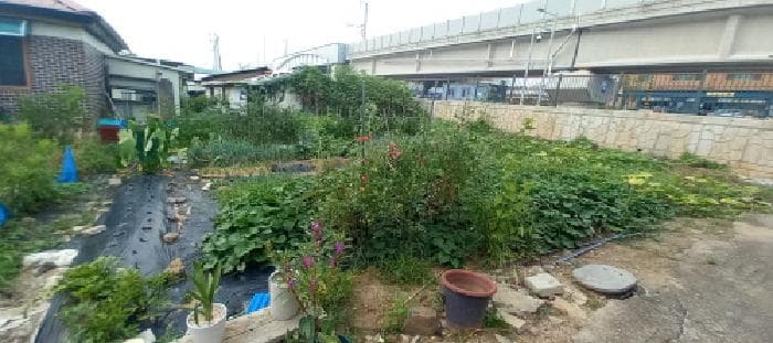 경기도 연천군 전곡읍 전곡리 452-5 외 3 필지