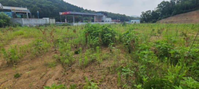 경기도 파주시 탄현면 낙하리 284-4 외 16 필지