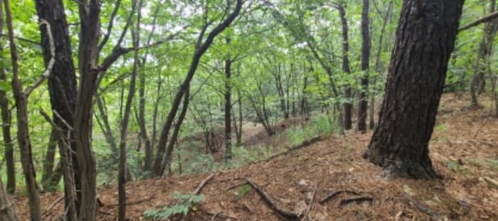 경기도 파주시 군내면 읍내리 753-1 외 2 필지