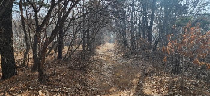 경기도 파주시 문산읍 당동리 산83 외 1 필지