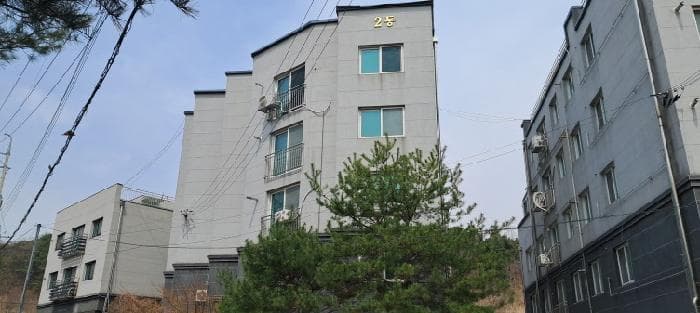 경기도 파주시 파주읍 파주리 520-6 2동 5층501호