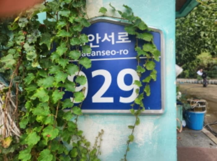인천광역시 강화군 내가면 외포리 681-10