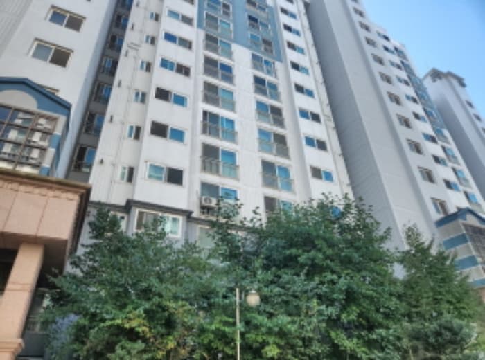 인천광역시 서구 완정로65번안길 10, 111동 11층1102호 (마전동,검단1차피오레)
