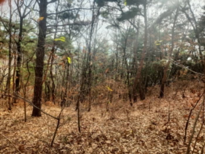 인천광역시 강화군 내가면 오상리 327-16