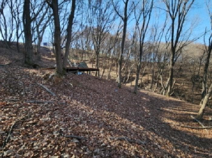 인천광역시 중구 운북동 385-3 외 3 필지