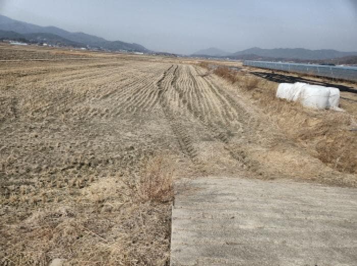 인천광역시 강화군 송해면 신당리 1045-5 외 1 필지