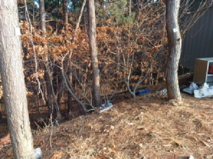 인천광역시 옹진군 영흥면 선재리 636-31 외 3 필지