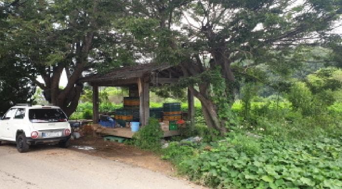 경기도 김포시 하성면 후평리 219-1