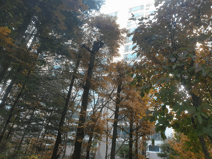 경기도 김포시 풍무동 748 당곡마을 308동 5층502호