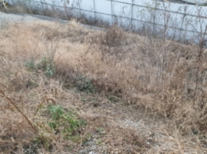 경기도 화성시 양감면 용소리 908-11