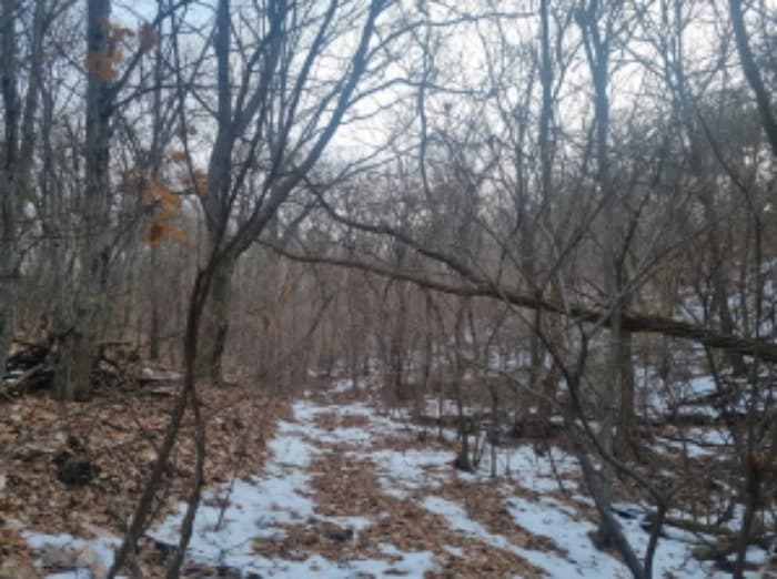 경기도 수원시 장안구 상광교동 산46-1