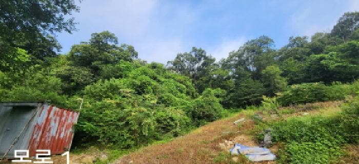 경기도 광주시 직동 288