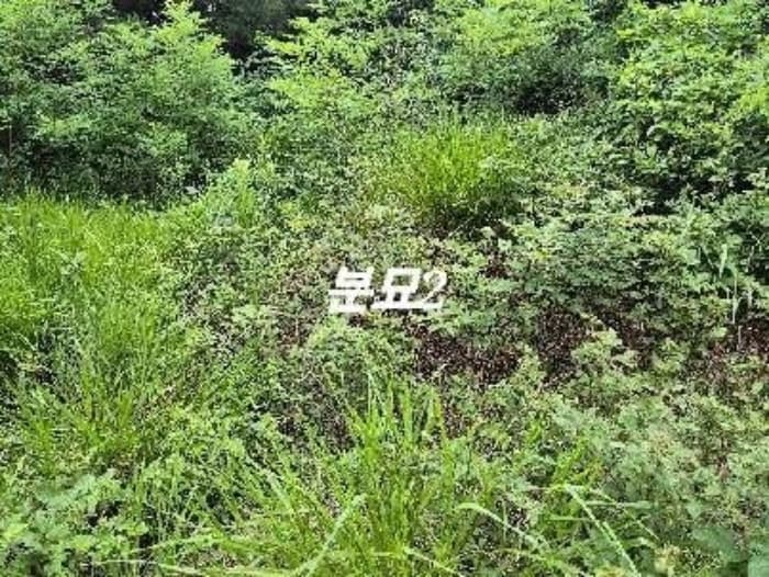 경기도 여주시 세종대왕면 왕대리 947-13