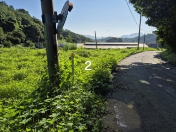 경기도 양평군 강상면 송학리 산74-10 외 2 필지