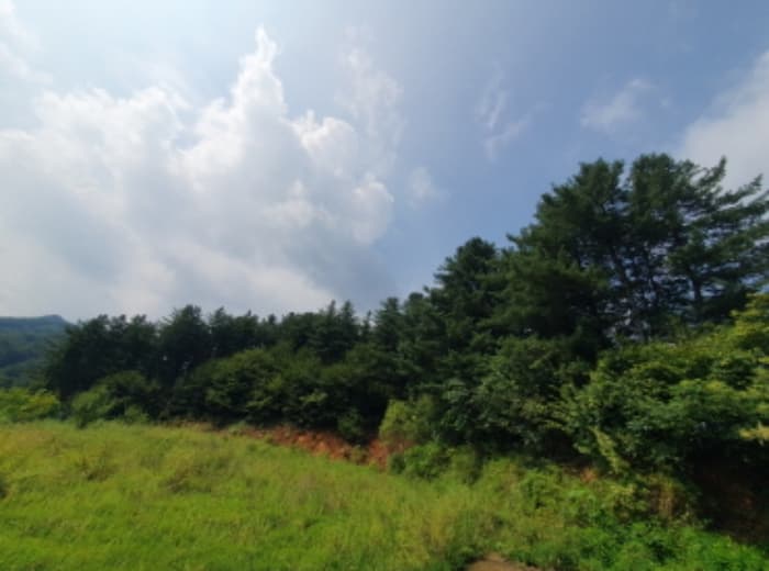 경기도 양평군 서종면 수능리 산17