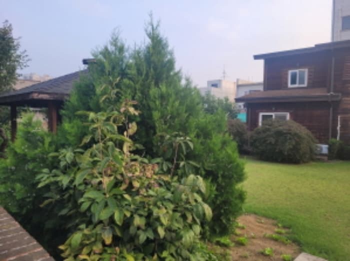 경기도 양평군 양평읍 흥청중앙길 2 (나동) 외 2 필지