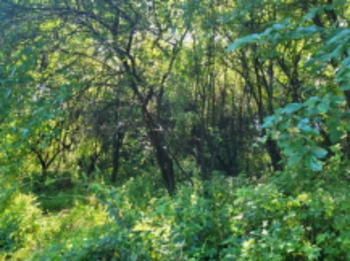 경기도 이천시 부발읍 산촌리 244-44