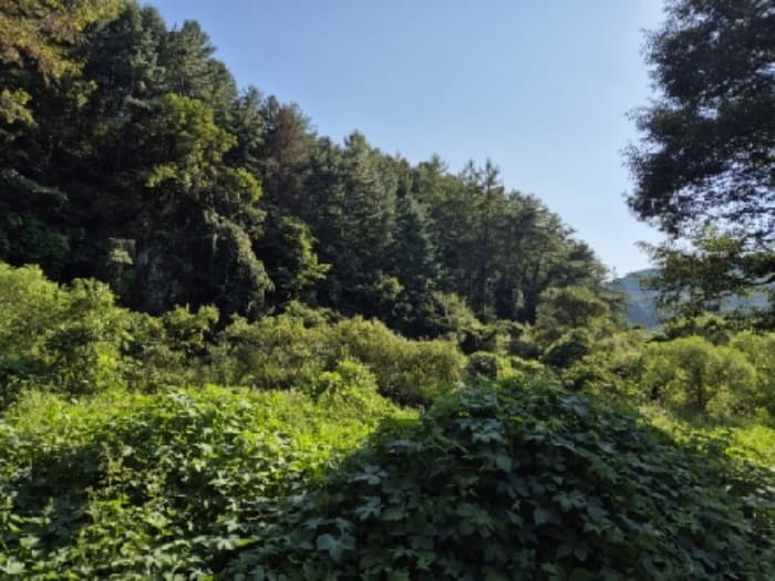 경기도 양평군 양동면 계정리 293-2