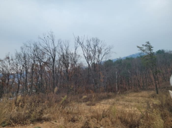 경기도 양평군 서종면 문호리 산138-11
