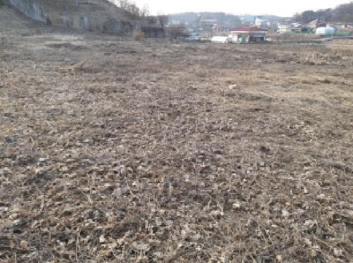 경기도 평택시 안중읍 금곡리 431-2 외 1 필지