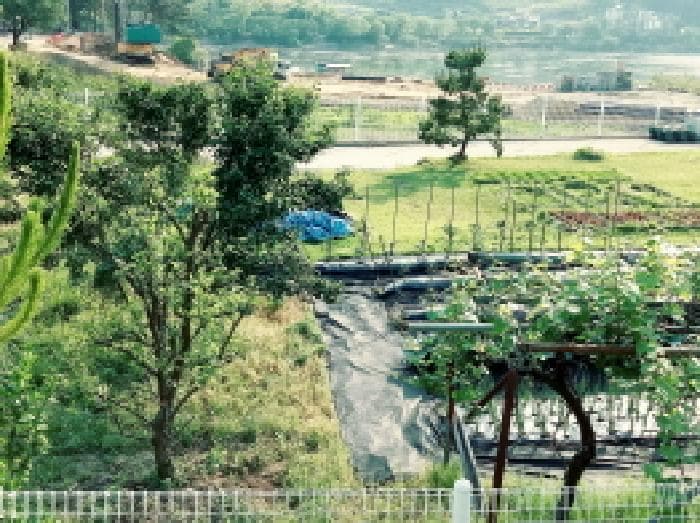 경기도 안성시 고삼면 봉산리 152-1 외 1 필지