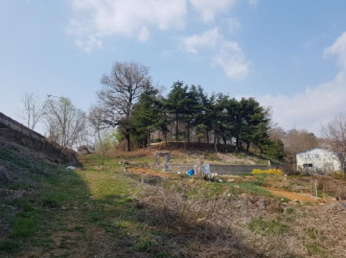 경기도 시흥시 신천동 산11