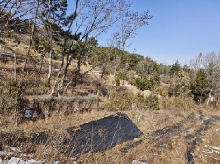 경기도 안산시 단원구 장골1길 15(대부남동) (대부남동,1동) 외 3 필지