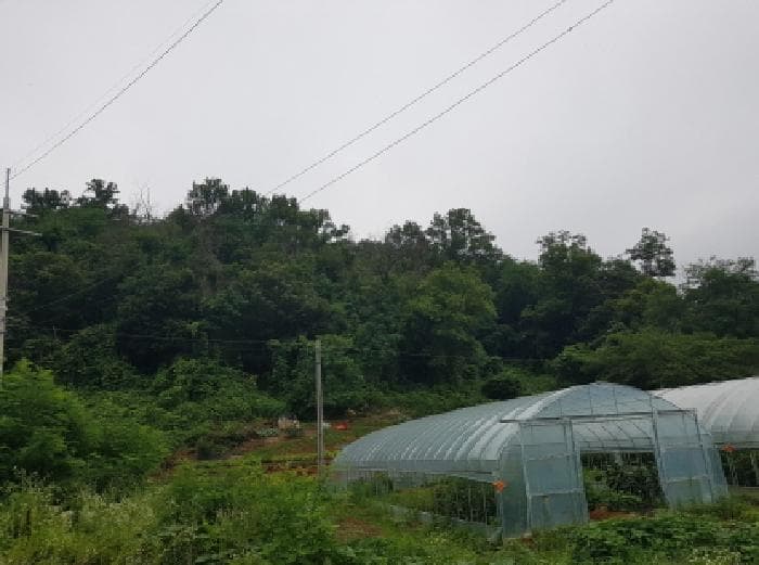 경기도 광명시 노온사동 산70