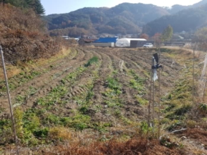 강원특별자치도 홍천군 남면 화전리 572