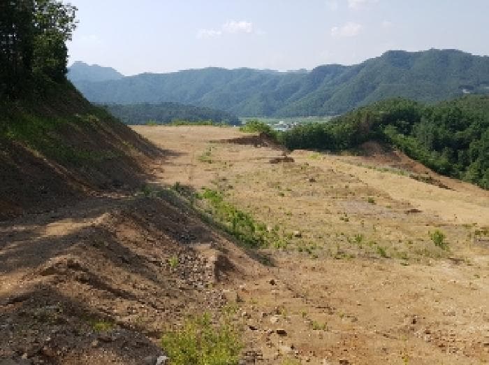 강원특별자치도 홍천군 서면 반곡리 산89 외 2 필지