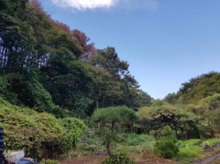 강원특별자치도 춘천시 남산면 방하리 261-2