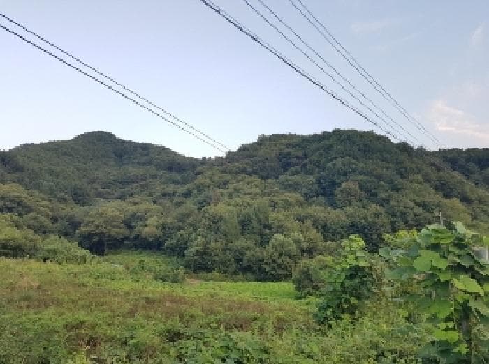 강원특별자치도 홍천군 남면 양덕원리 산18