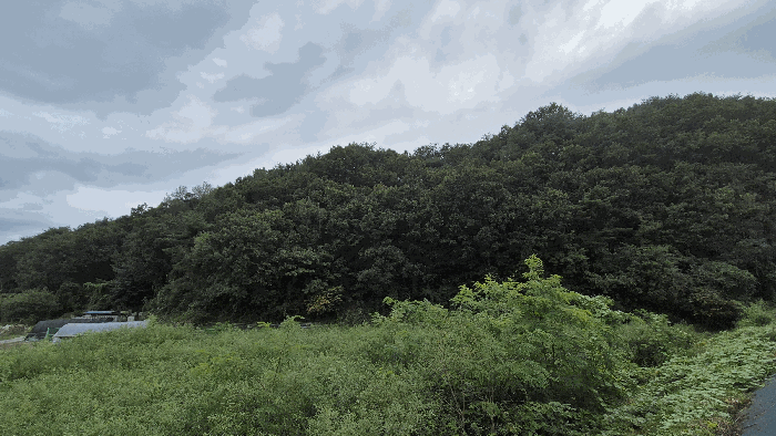 강원특별자치도 춘천시 동면 장학리 산1-1