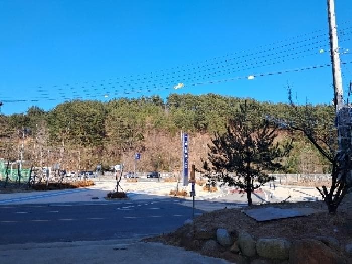 강원특별자치도 삼척시 원덕읍 옥원리 산115 외 1 필지
