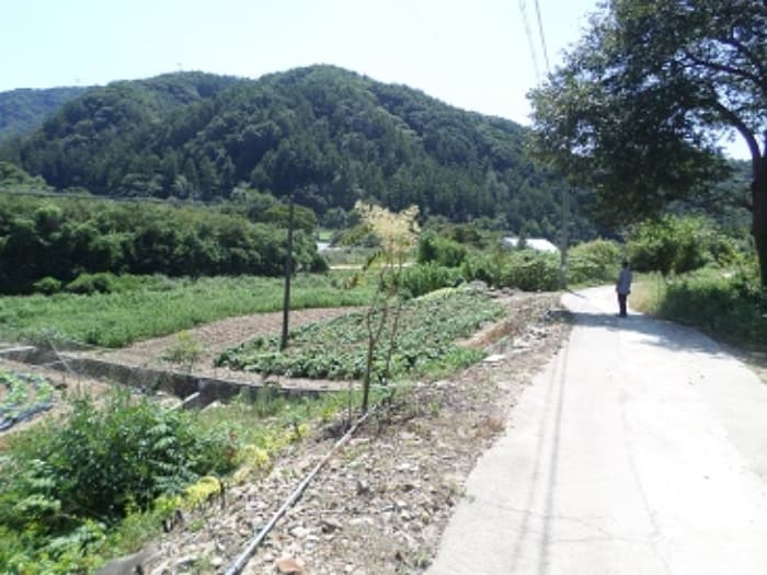 강원특별자치도 횡성군 청일면 청일로779번길 139 외 1 필지