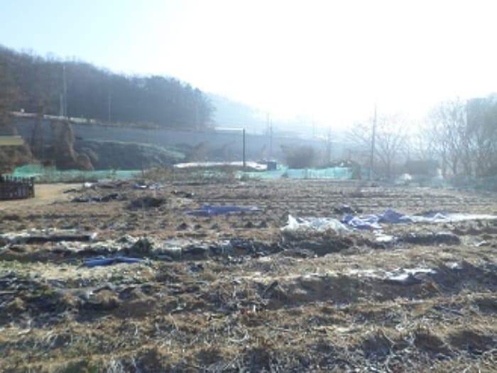 강원특별자치도 원주시 태장동 164-3 외 2 필지