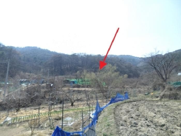 강원특별자치도 원주시 호저면 고산리 599