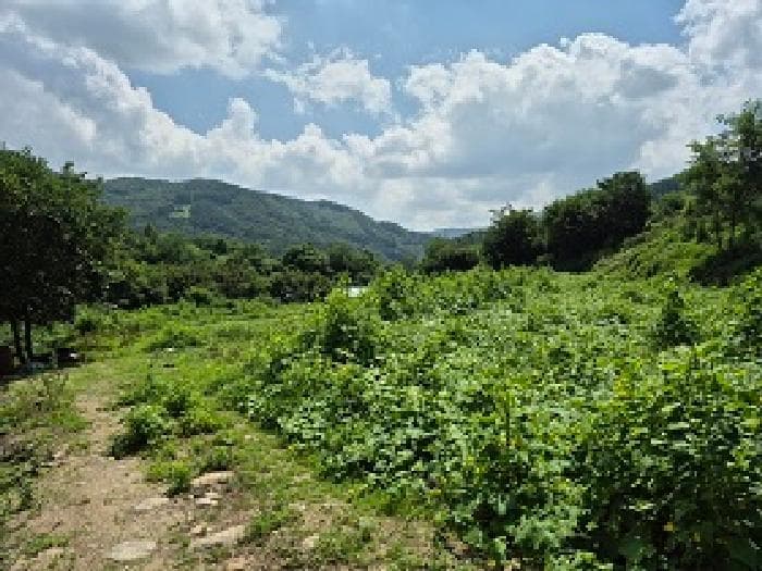 강원특별자치도 횡성군 강림면 월현리 490-2 외 3 필지